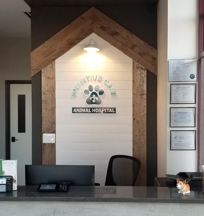 Pawsitive Care Animal Hospital Picture 3