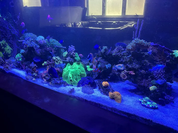Aquatic System Solutions Picture 1