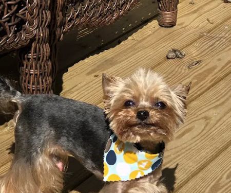 Aquia-Garrisonville Animal Hospital