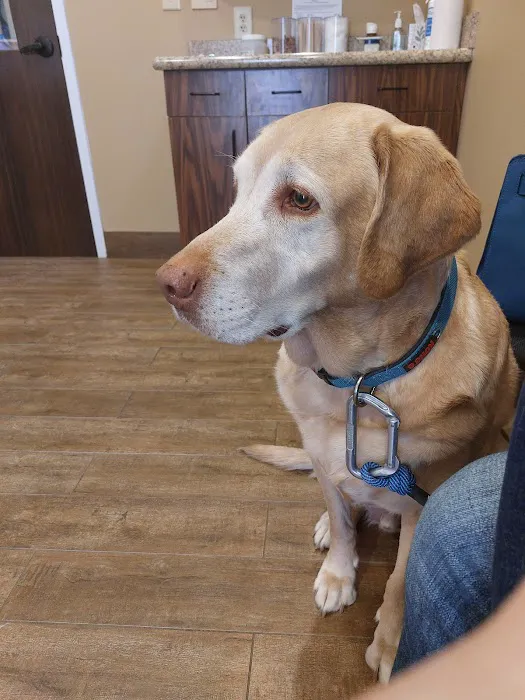 Aquia-Garrisonville Animal Hospital Picture 10