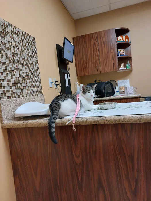 Aquia-Garrisonville Animal Hospital Picture 2