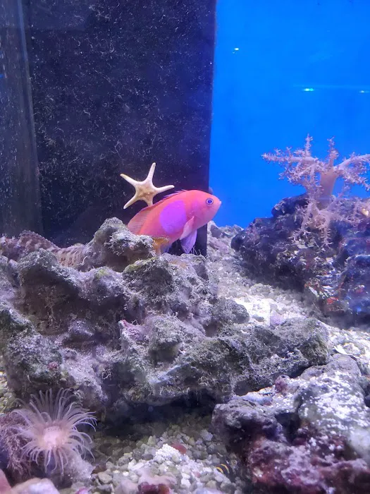 New Wave Aquaria Picture 6