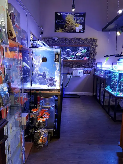 New Wave Aquaria Picture 9