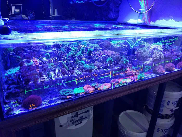 New Wave Aquaria Picture 10