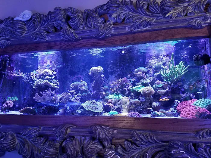 New Wave Aquaria Picture 8