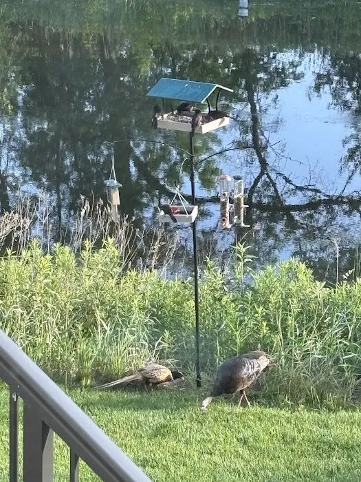 All Seasons Wild Bird Store Picture 5