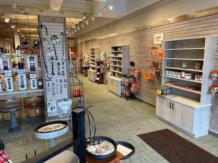 All Seasons Wild Bird Store Picture 4