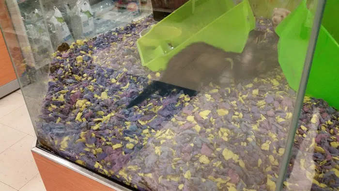 Petco Picture 7