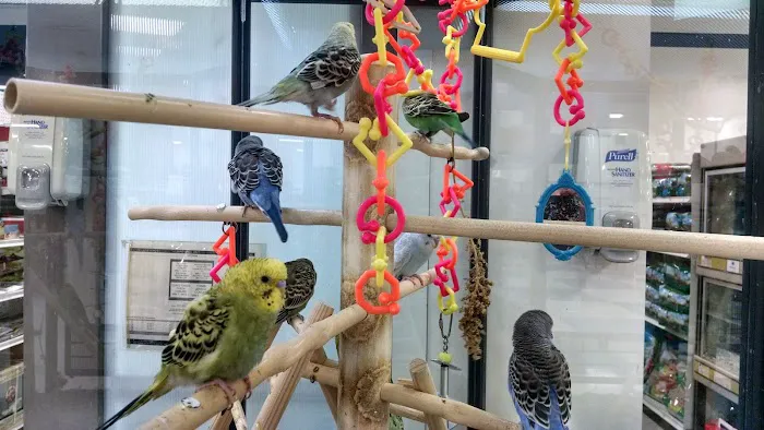 Petco Picture 3