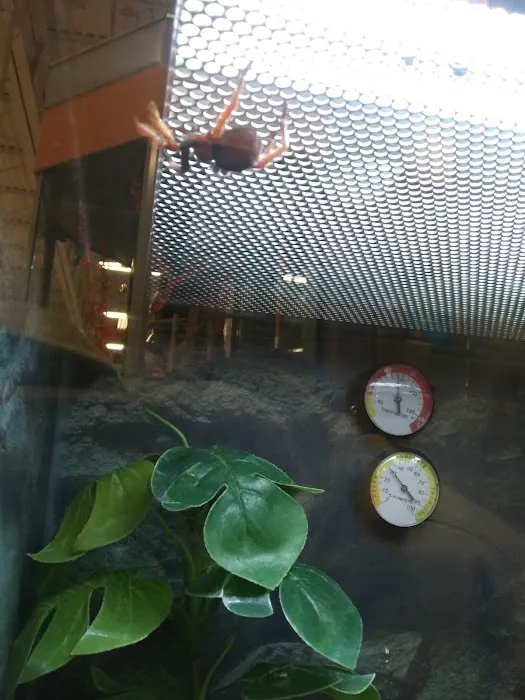 Petco Picture 2