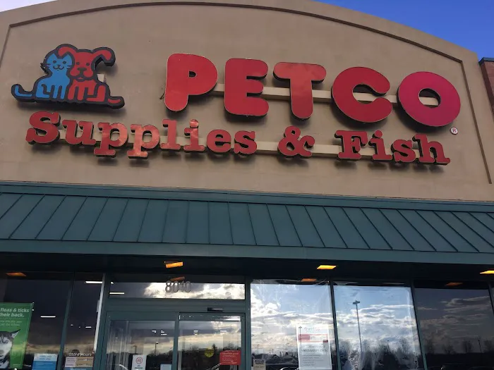 Petco Picture 8