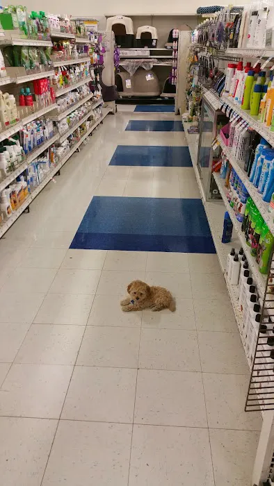 Petco Picture 5