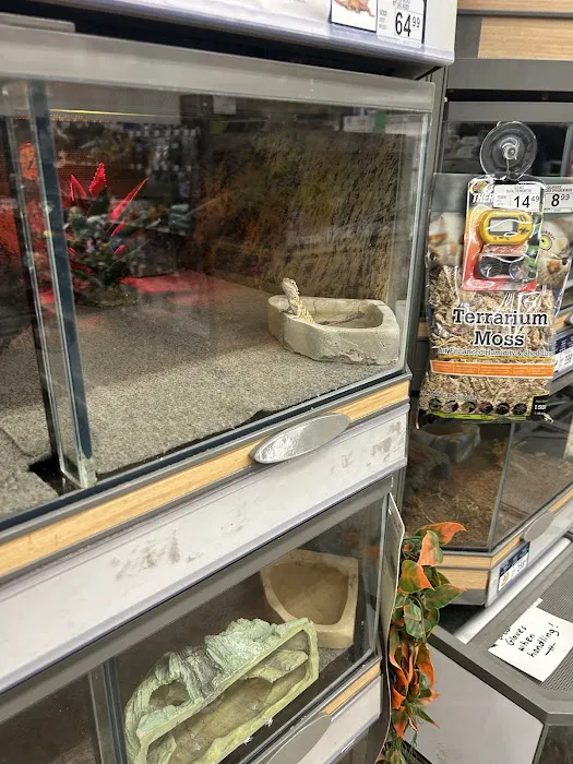 Petco Picture 6