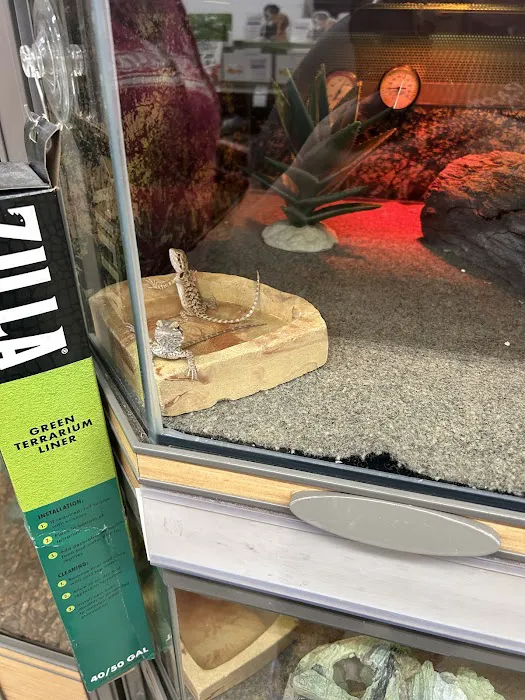 Petco Picture 10