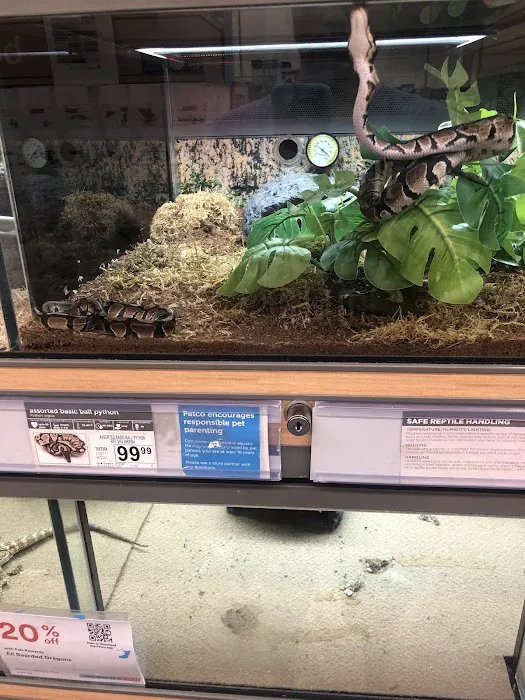 Petco Picture 8