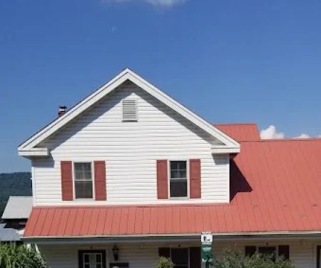 At Home Veterinary Care