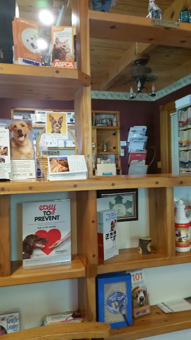 At Home Veterinary Care Picture 2