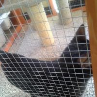Chuck & Don's Pet Food & Supplies ico