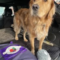 Chuck & Don's Pet Food & Supplies ico