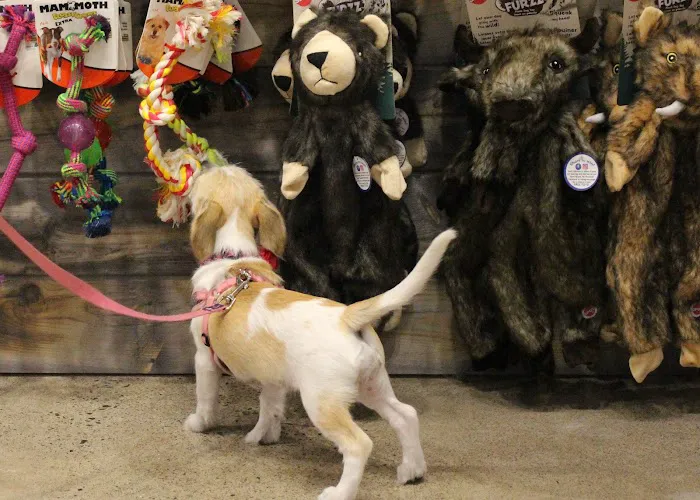 Chuck & Don's Pet Food & Supplies Picture 9