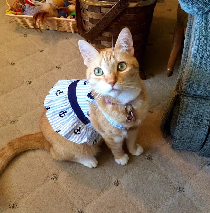 Cove Veterinary Services Picture 7