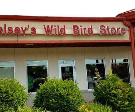 All Seasons Wild Bird Store