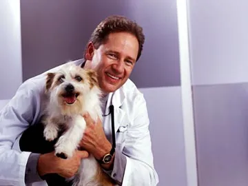 Jericho Animal Hospital Picture 4