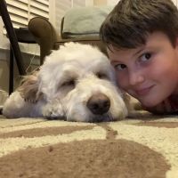 Jericho Animal Hospital ico
