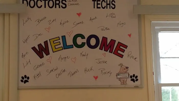 Jericho Animal Hospital Picture 7
