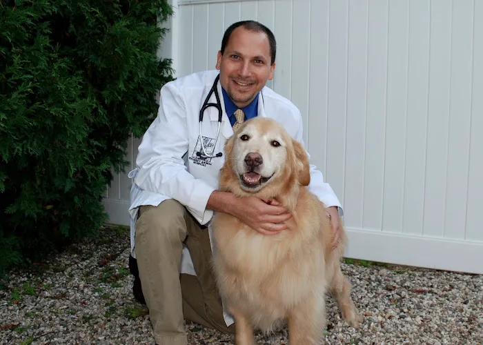 Syosset Animal Hospital Picture 5