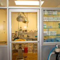 Syosset Animal Hospital ico