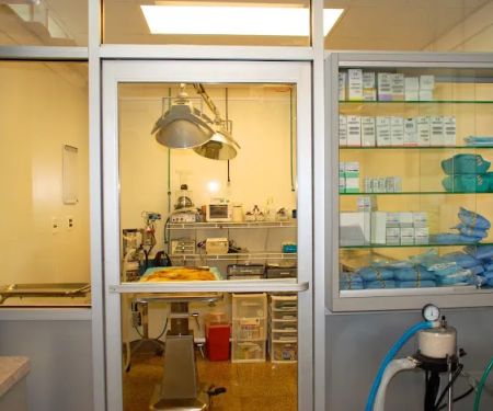 Syosset Animal Hospital