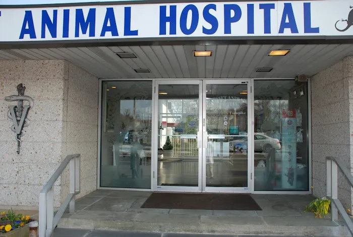 Syosset Animal Hospital Picture 7