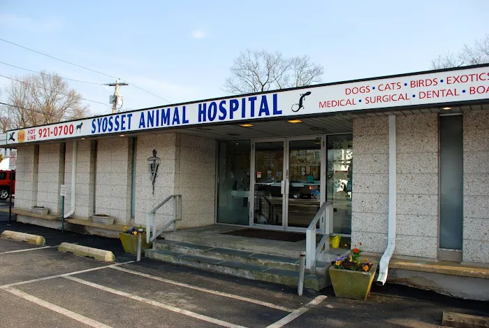 Syosset Animal Hospital Picture 10