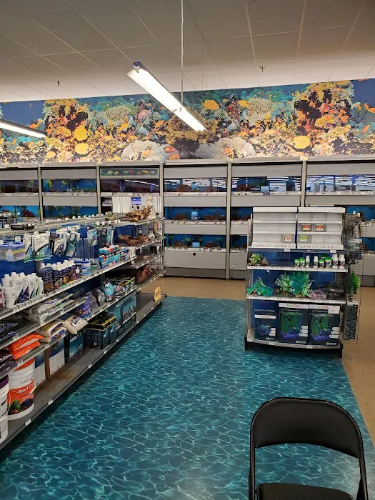 Petco Picture 2