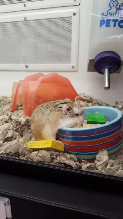 Petco Picture 4
