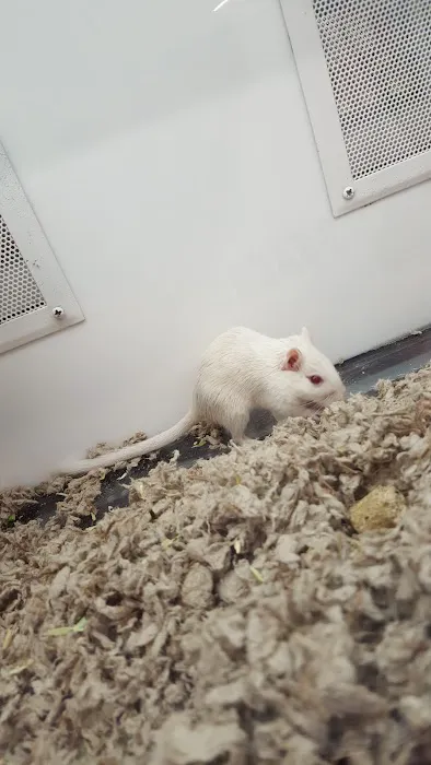 Petco Picture 3