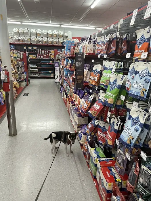 Petco Picture 8