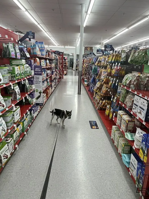 Petco Picture 7