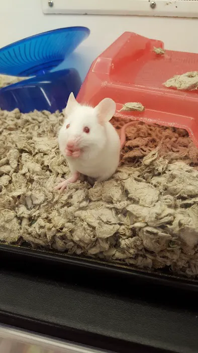 Petco Picture 6