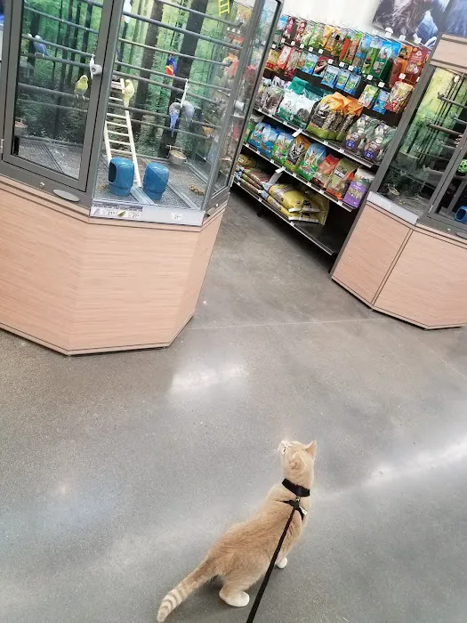 Petco Picture 9