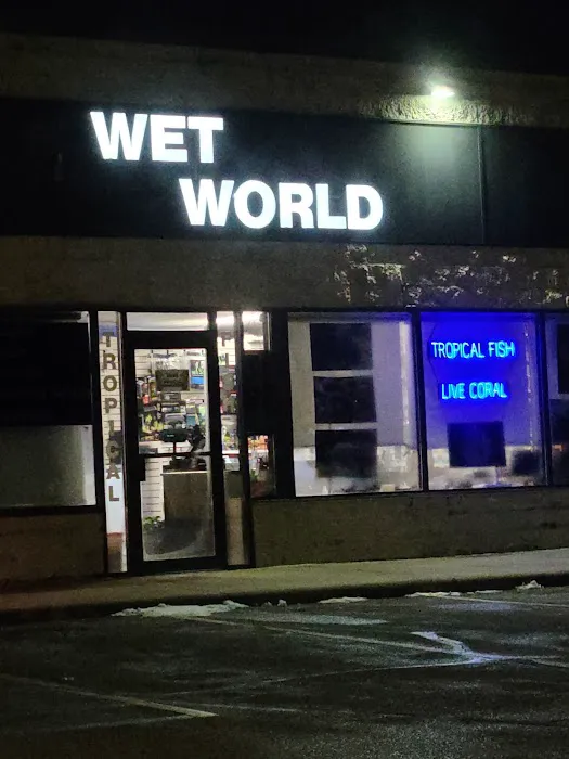 Wet World Picture 3
