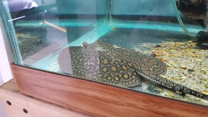 Quality Aquatics Pet Shop Picture 1