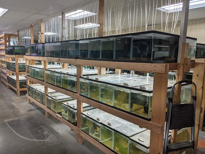 Quality Aquatics Pet Shop Picture 7