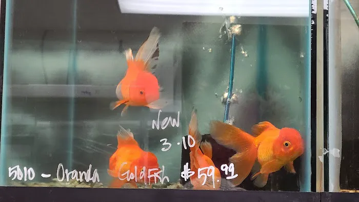 Quality Aquatics Pet Shop Picture 6