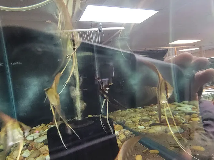 Quality Aquatics Pet Shop Picture 5