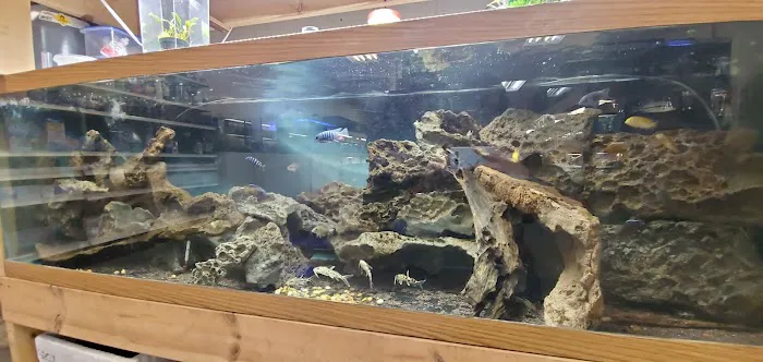 Quality Aquatics Pet Shop Picture 3