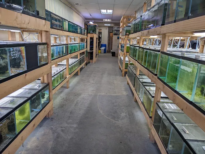 Quality Aquatics Pet Shop Picture 9