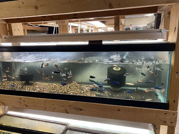 Quality Aquatics Pet Shop Picture 10