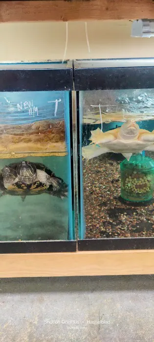 Quality Aquatics Pet Shop Picture 8